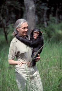 Jane Goodall