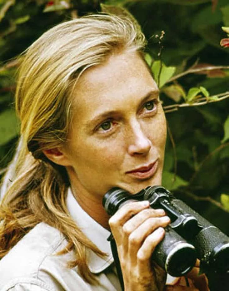 Jane Goodall